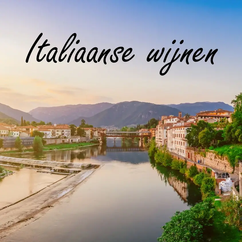 Italiaanse wijnen bestel je bij VINOlogico