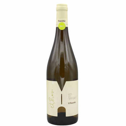 Forchir Ethos | Italiaanse witte wijn